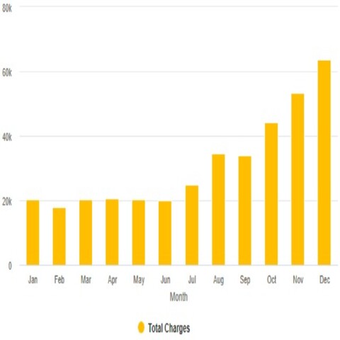 Call Charge By Month